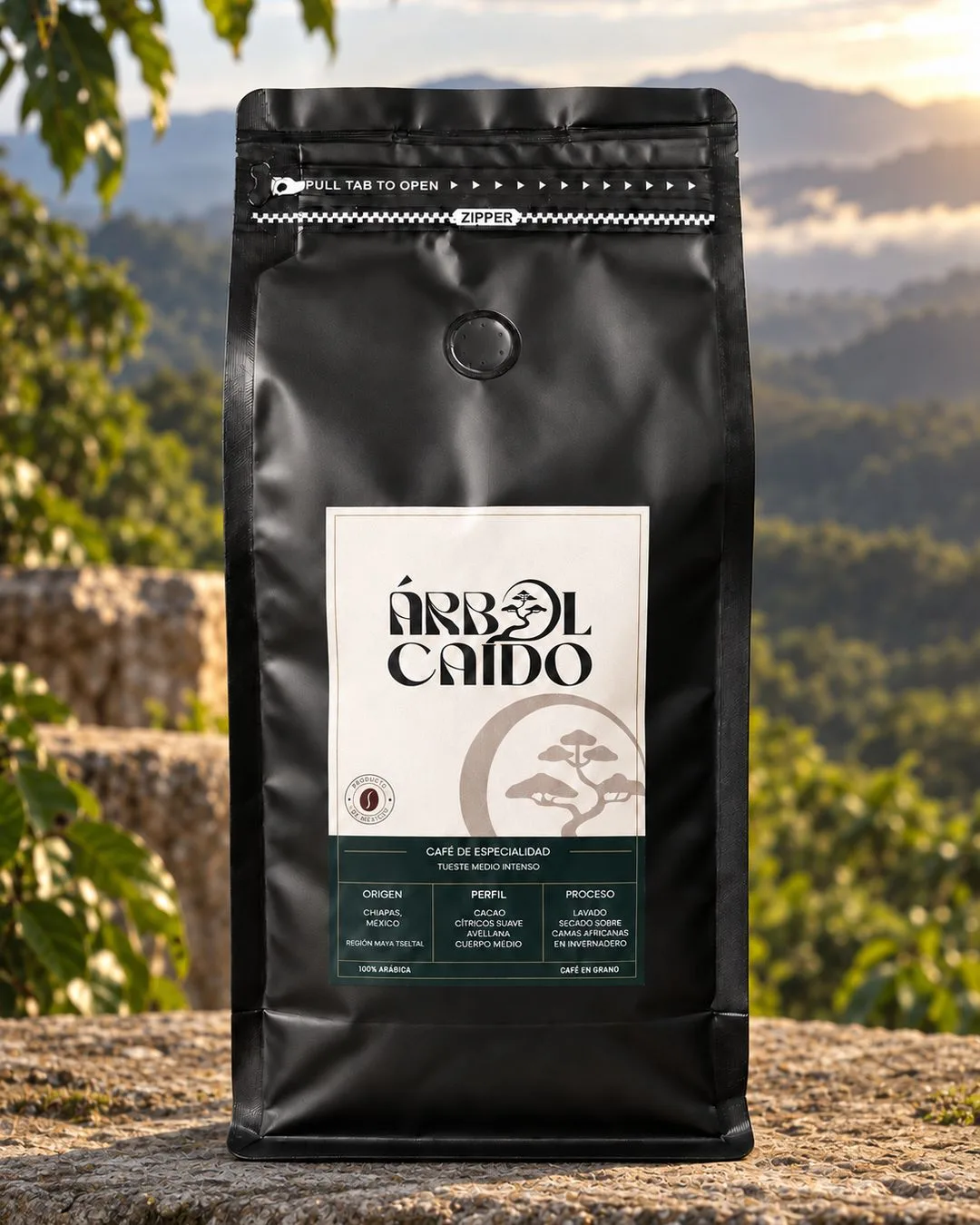 Café de Especialidad - Chiapas