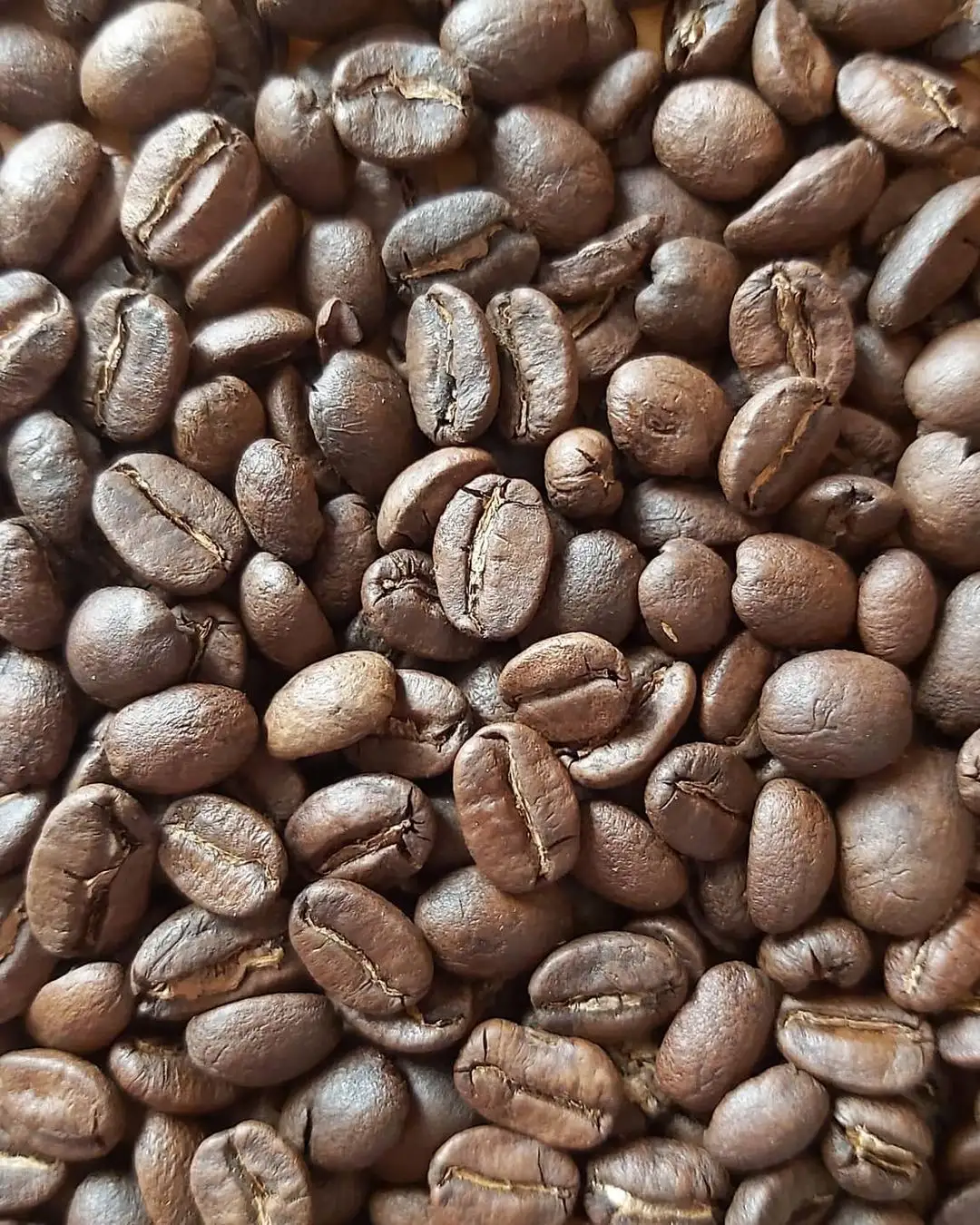 Café de Especialidad - Chiapas — foto 2